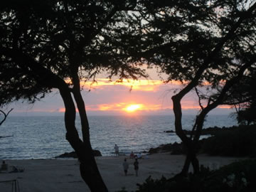Beautiful sunset at the beach