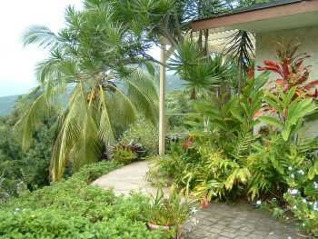 Far end of the house