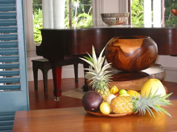Who plays the piano?
