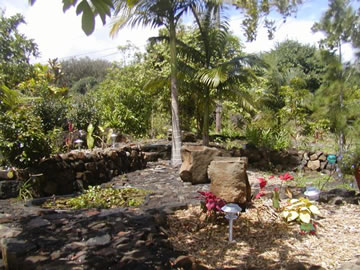 Koa ponds
