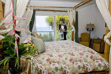 The Tropical Dreams Room