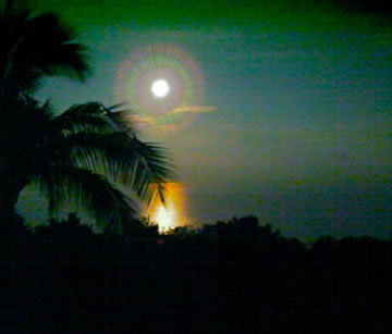Moonset off the Lanai