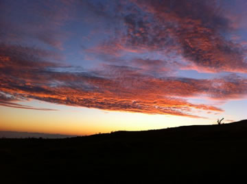 Sunrise 