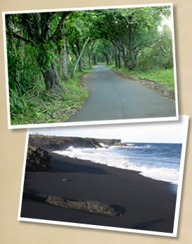 Puna's scenic Hwy 132 and Kehena black sand beach