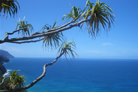 Hamakua Coast