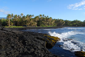 Punaluu Beach